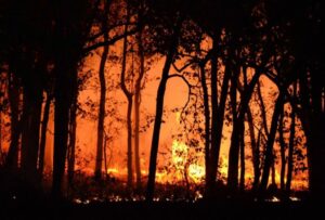 Burning through History: The Changing Human Impact on Australian Fires