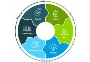 Will ASX Recycling Stock Close the Loop (ASX:CLG) Ride The Green Wave?